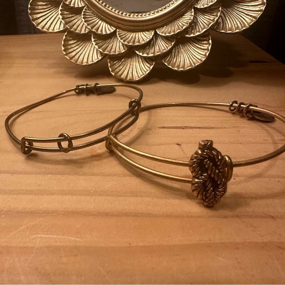 Set of 2 Alex and Ani charm bangle Bracelets
